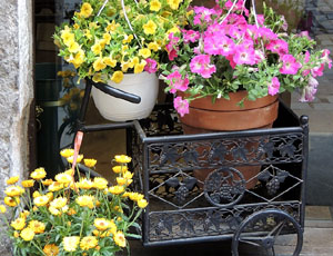 Girona Temps de Flors 2014. Espais, patis i exposicions diversos