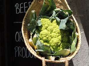 Girona Temps de Flors 2014. Espais, patis i exposicions diversos