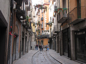 Girona Temps de Flors 2014. Espais, patis i exposicions diversos