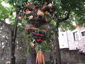 Girona Temps de Flors 2014. Espais, patis i exposicions diversos