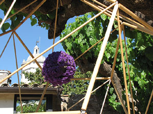 Girona Temps de Flors 2014. Espais, patis i exposicions diversos