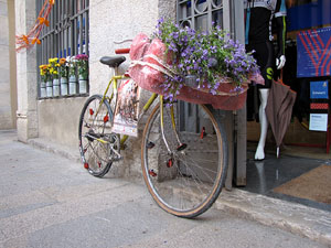 Girona Temps de Flors 2014. Espais, patis i exposicions diversos