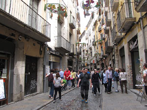 Girona Temps de Flors 2014. Espais, patis i exposicions diversos
