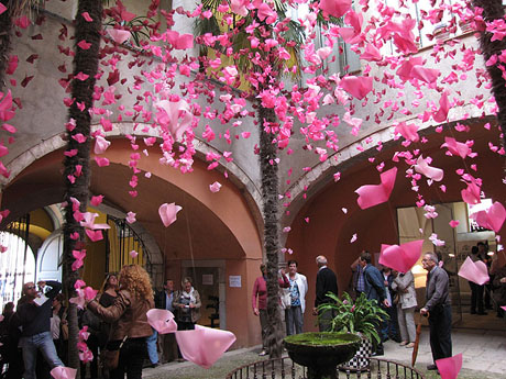 Girona Temps de Flors 2014. Espais, patis i exposicions diversos: Casa de l'Ardiaca