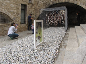 Girona Temps de Flors 2014. Espais, patis i exposicions diversos