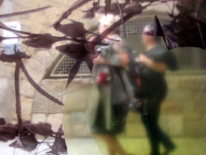 Girona Temps de Flors 2014. Espais, patis i exposicions diversos