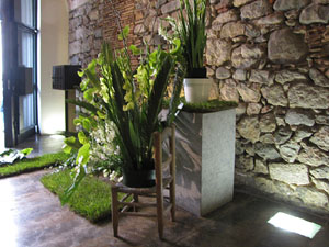 Girona Temps de Flors 2014. Espais, patis i exposicions diversos