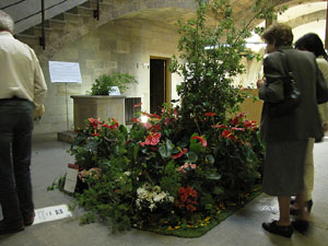 Girona Temps de Flors 2014. Espais, patis i exposicions diversos