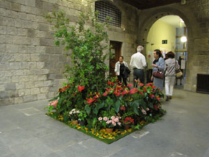 Girona Temps de Flors 2014. Espais, patis i exposicions diversos