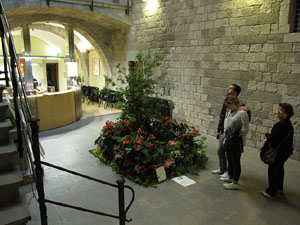 Girona Temps de Flors 2014. Espais, patis i exposicions diversos