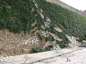 Girona Temps de Flors 2014. Espais, patis i exposicions diversos