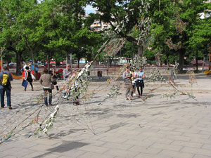 Girona Temps de Flors 2014. Espais, patis i exposicions diversos