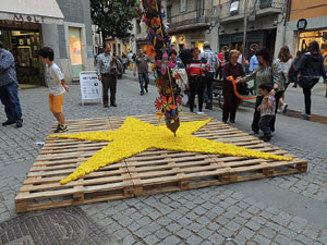 Girona Temps de Flors 2014. Espais, patis i exposicions diversos