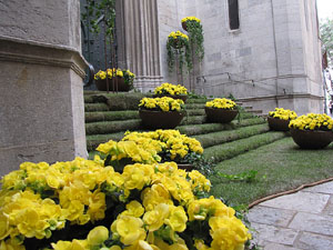 Girona Temps de Flors 2014. Espais, patis i exposicions diversos