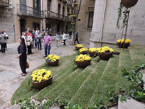Girona Temps de Flors 2014. Espais, patis i exposicions diversos