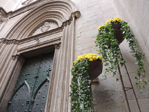 Girona Temps de Flors 2014. Espais, patis i exposicions diversos