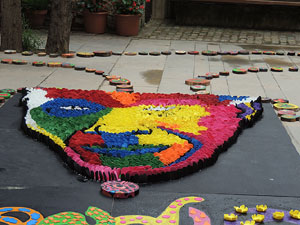 Girona Temps de Flors 2014. Espais, patis i exposicions diversos