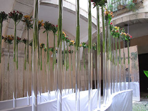 Girona Temps de Flors 2014. Patis del carrer de la For&ccedil;a