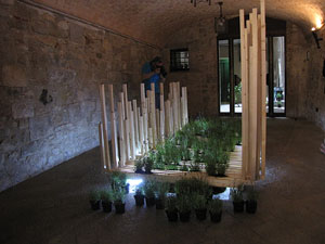 Girona Temps de Flors 2014. Patis del carrer de la For&ccedil;a