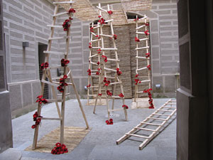 Girona Temps de Flors 2014. Patis del carrer de la For&ccedil;a