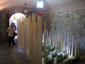 Girona Temps de Flors 2014. Patis del carrer de la For&ccedil;a