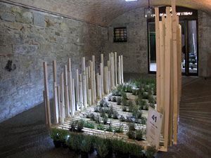 Girona Temps de Flors 2014. Patis del carrer de la For&ccedil;a