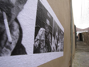 Girona Temps de Flors 2014. Patis del carrer de la For&ccedil;a