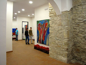 Girona Temps de Flors 2014. Patis del carrer de la For&ccedil;a