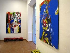 Girona Temps de Flors 2014. Patis del carrer de la For&ccedil;a