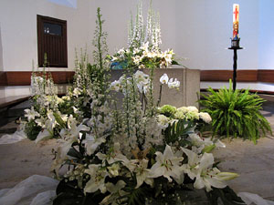 Girona Temps de Flors 2014. El barri del Mercadal