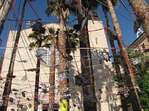 Girona Temps de Flors 2014. El barri del Mercadal