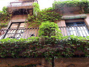 Girona Temps de Flors 2014. Els balcons de Girona