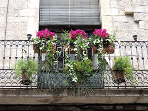 Girona Temps de Flors 2014. Els balcons de Girona