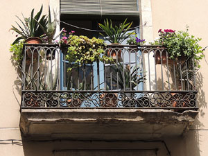 Girona Temps de Flors 2014. Els balcons de Girona