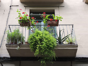 Girona Temps de Flors 2014. Els balcons de Girona
