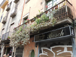 Girona Temps de Flors 2014. Els balcons de Girona