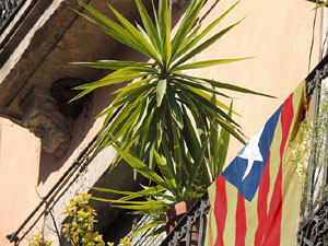 Girona Temps de Flors 2014. Els balcons de Girona