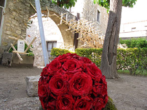 Girona Temps de Flors 2014. El Museu d'Art