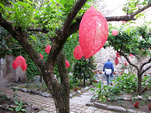 Girona Temps de Flors 2014. El Museu d'Art