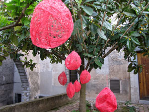 Girona Temps de Flors 2014. El Museu d'Art