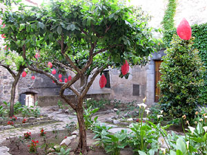 Girona Temps de Flors 2014. El Museu d'Art