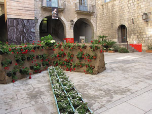 Girona Temps de Flors 2014. El Museu d'Art