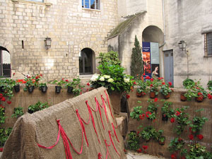 Girona Temps de Flors 2014. El Museu d'Art