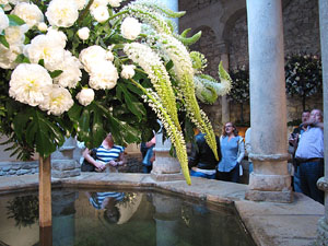 Girona Temps de Flors 2014. Els Banys Àrabs