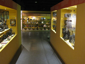 Girona Temps de Flors 2014. La Nit dels Museus