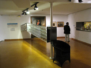 Girona Temps de Flors 2014. La Nit dels Museus