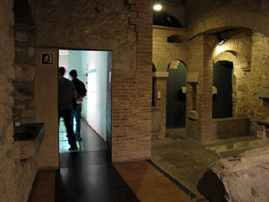 Girona Temps de Flors 2014. La Nit dels Museus