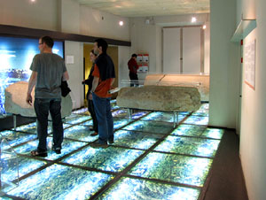 Girona Temps de Flors 2014. La Nit dels Museus