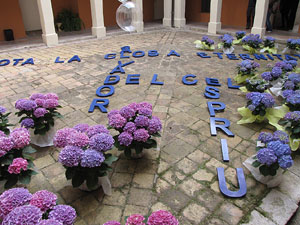 Girona Temps de Flors 2014. El Museu d'Hist&ograve;ria