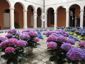 Girona Temps de Flors 2014. El Museu d'Hist&ograve;ria